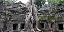 Templo Ta Prohm (Vietnam) – Agencia Viajes Próximo Oriente